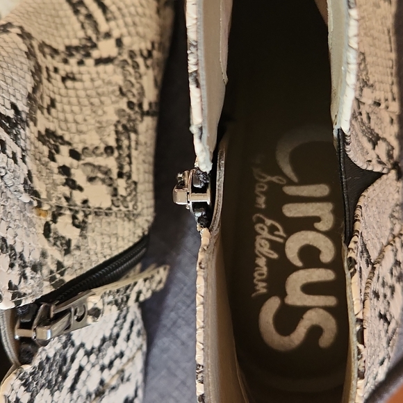 Circus by Sam Edelman Pipper Snakeskin Booties - Picture 9 of 12
